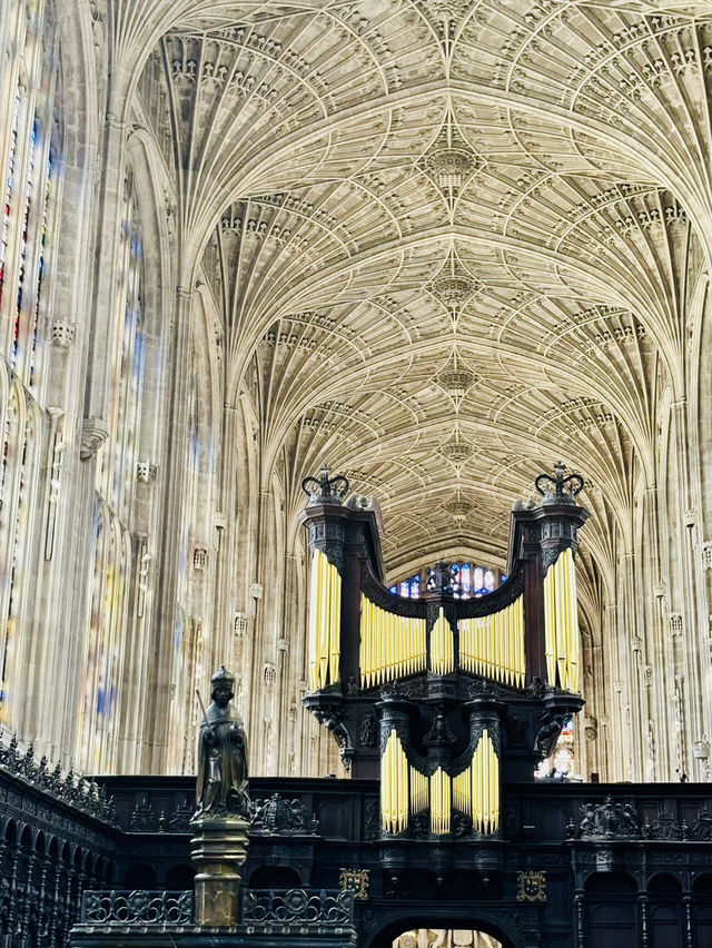 Fragments of Cambridge White Cliff in London