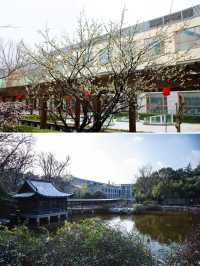 南京綠野仙蹤，入住自然之中！