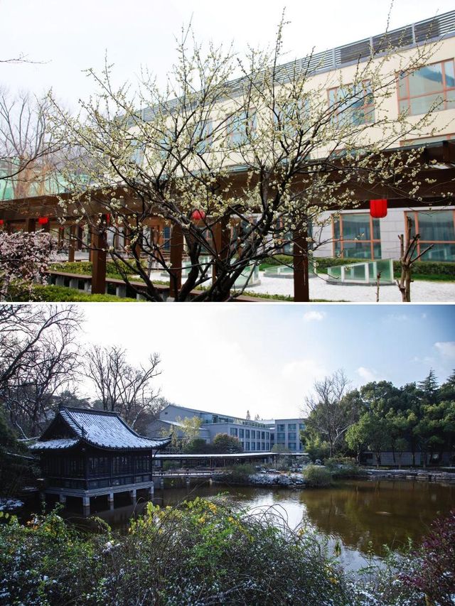 南京綠野仙蹤，入住自然之中！