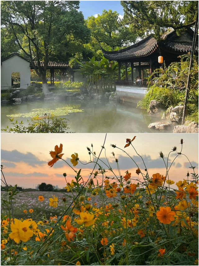 接下來的寧波 真的美出新高度