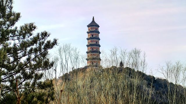 3月初的北塢公園，準備迎春了！