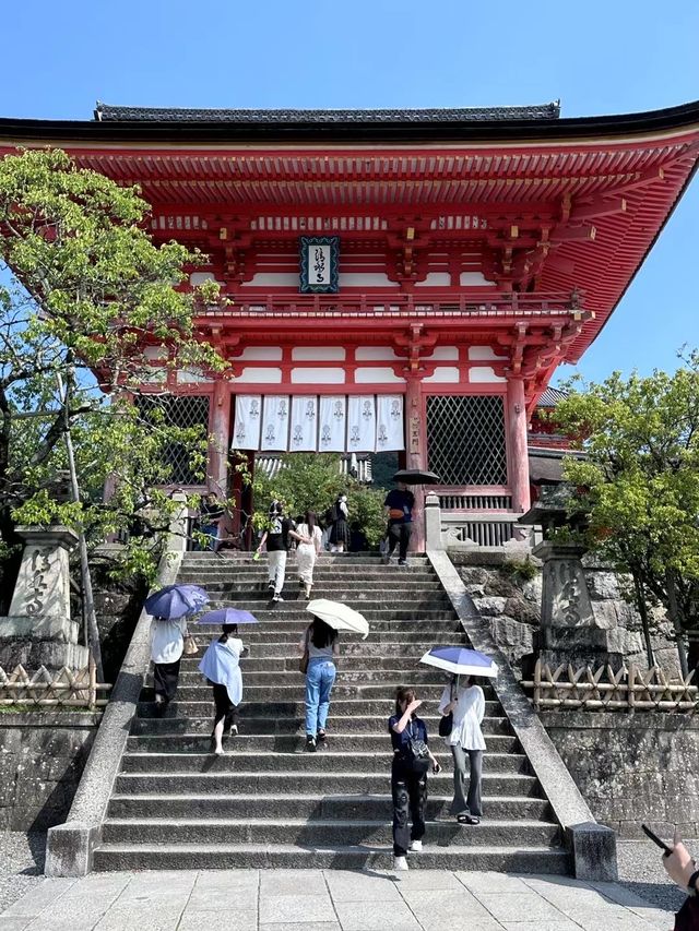 春日限定！奈良櫻花與小鹿的神仙同框攻略
