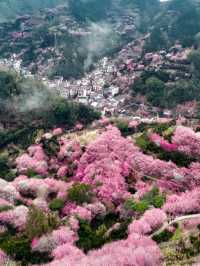 原來陶淵明筆下的《桃花源記》是真實存在的！！