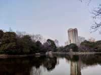 Lu Xun Park in Shanghai: A Must-Visit in China 🇨🇳🌳