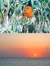 沖繩宜野灣人生生活體驗