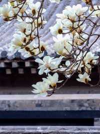 煙台