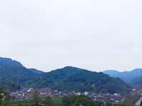 去梅家塢喝茶賞花吧