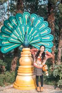 動物園遊記ᵕ̈終於看到軍軍和紅糖啦 附攻略