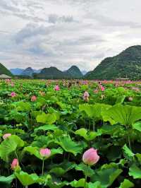 清明假期 元陽7日遊全攻略
