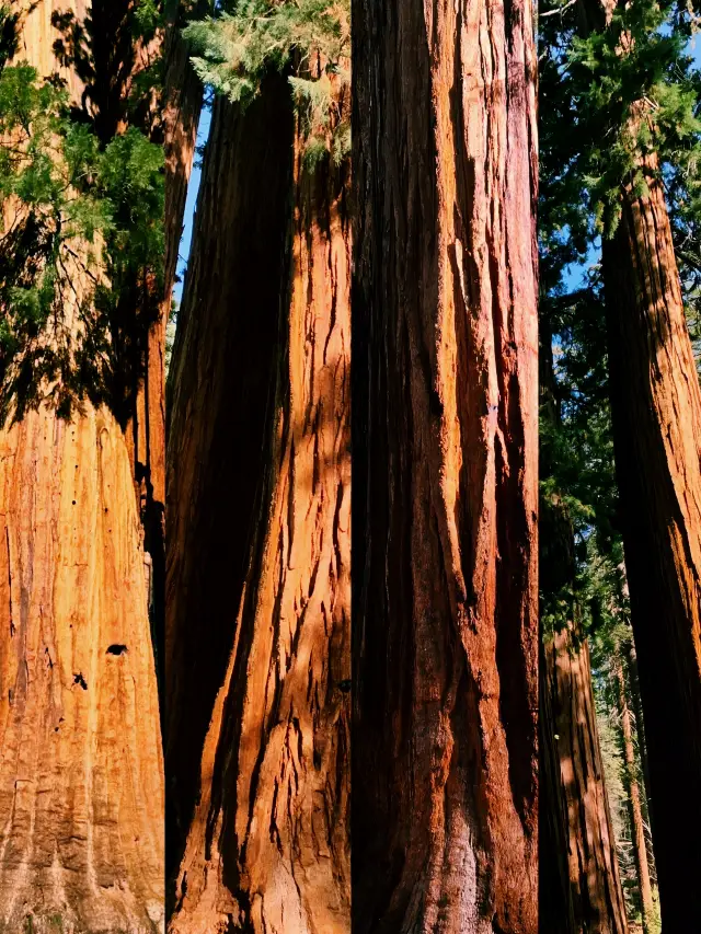 A Kingdom of Giants Through Time, Shaking Every Inch of Your Soul