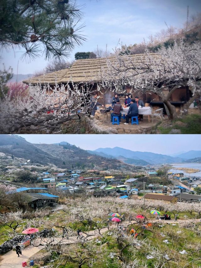 逃離煩囂，邂逅光陽