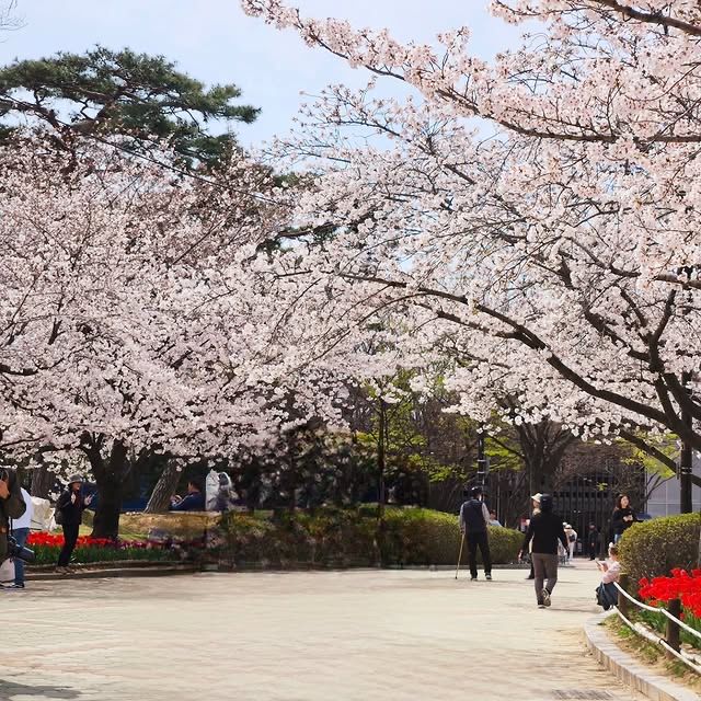 韓國·金海 | 金海城市公園—都市裡的綠色秘境！