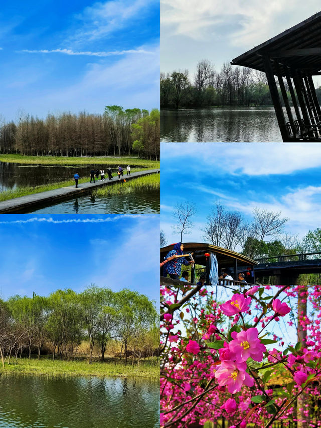 高鐵直達江浙滬被嚴重低估的濕地公園