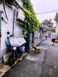 跟著北京老街坊遊覽胡同，西城小絨線胡同