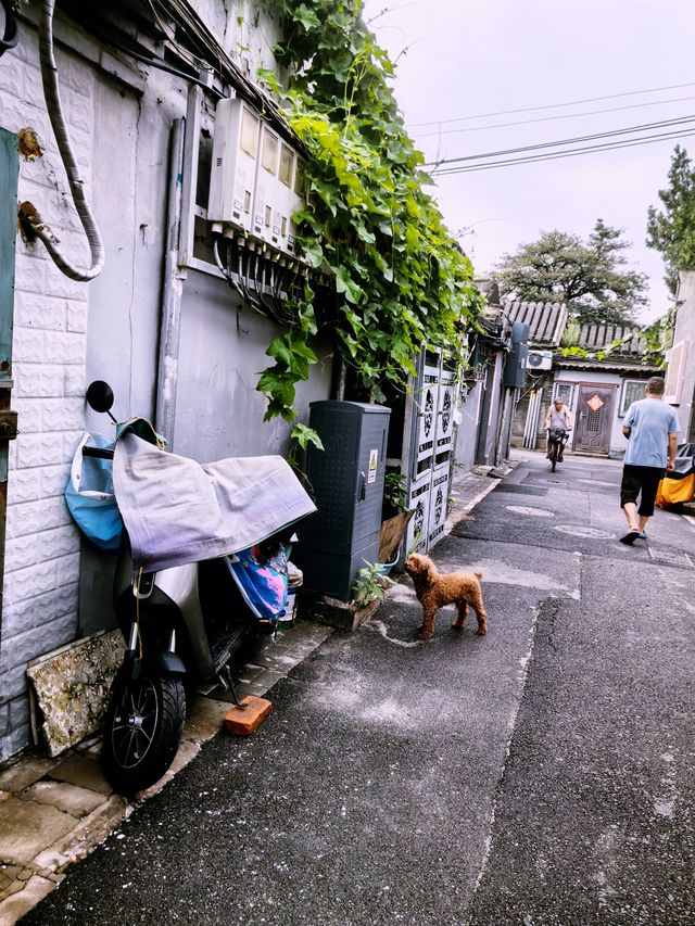 跟著北京老街坊遊覽胡同，西城小絨線胡同