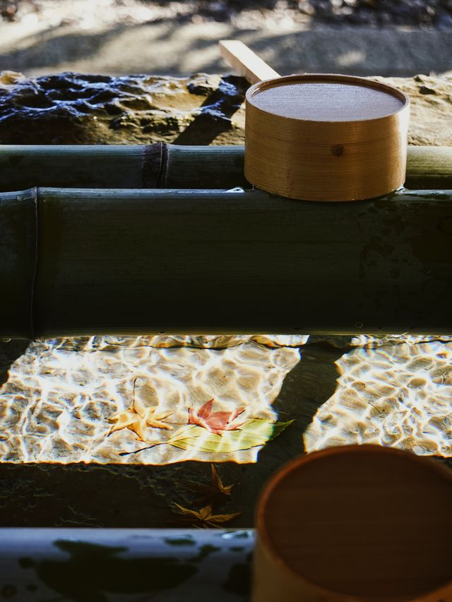 四國高知｜三日自駕遊，看山看海也看城