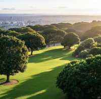 探索南非伊麗莎白港聖喬治公園，邂逅自然與歷史的交融