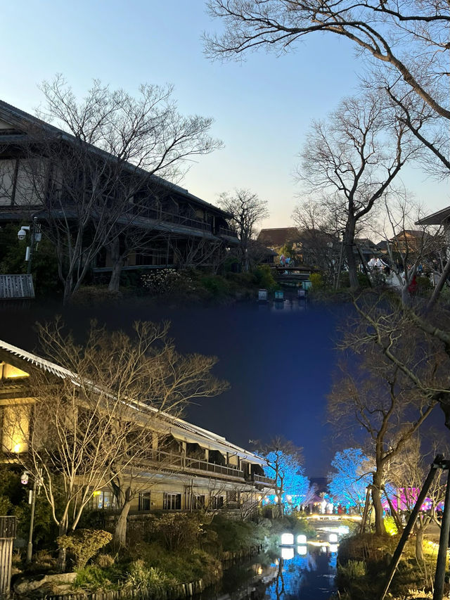 【2025拈花灣高階玩法】禪意與科技的碰撞！