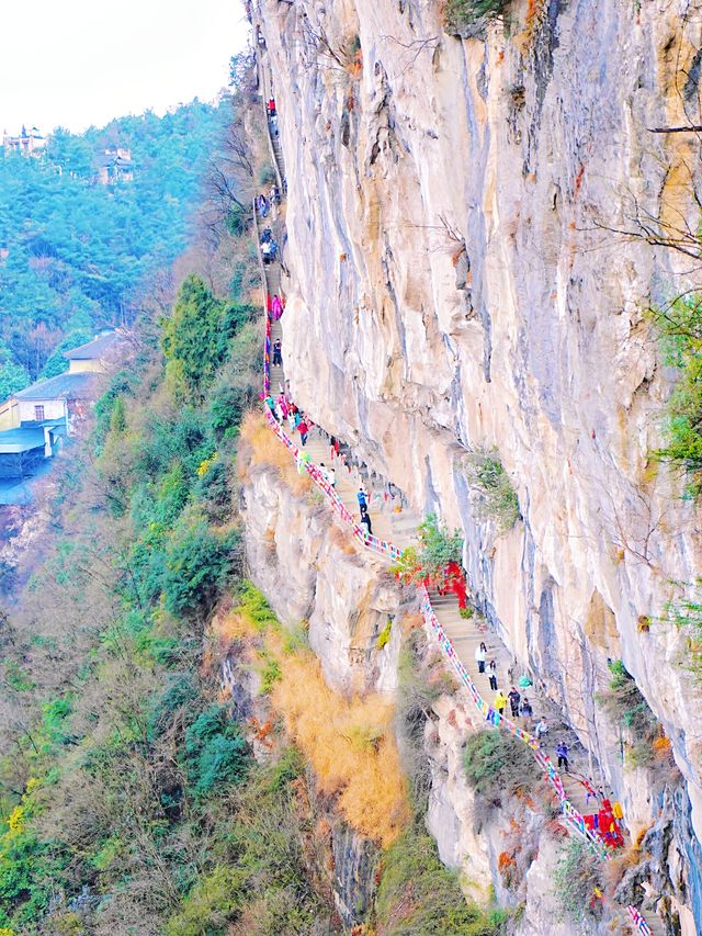 在九皇山的雲霧與山林間，尋一段詩意的時光