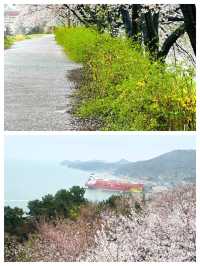 麗水：韓國的夢幻海濱之城