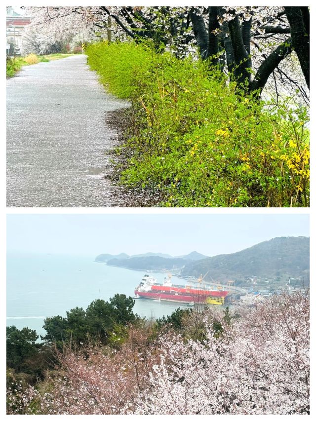 麗水：韓國的夢幻海濱之城