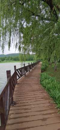 自駕蘇魯（6）「龍脈之湖」-雲龍湖旅遊景區