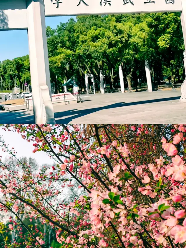 ปลดล็อกประสบการณ์สุดเจ๋งที่มหาวิทยาลัยอู่ฮั่น