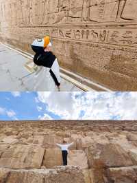 帶娃去埃及，近幾年體驗感最好的長途旅行！