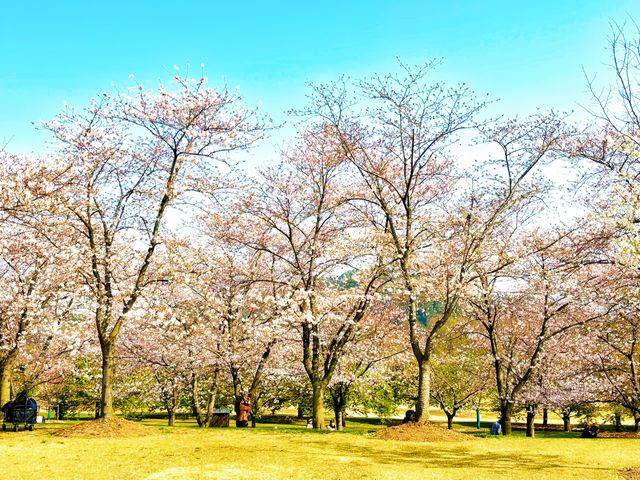 走進上海辰山植物園，邂逅自然生態的多彩魅力