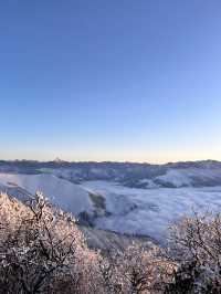宜賓3日遊 玩轉全城不踩雷