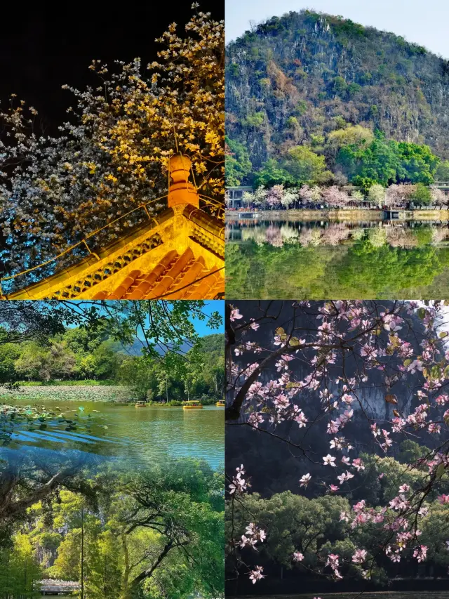 1-Hour Direct Ride from Shenzhen to "Little Guilin of Lingnan"