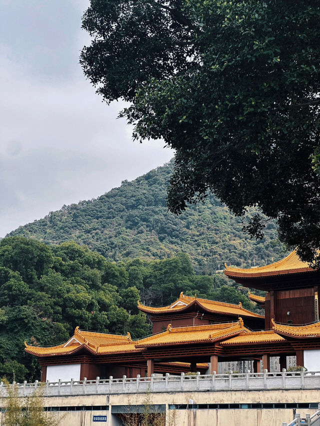 弘法寺：塵世浮煙中的清淨梵境