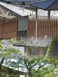 玩轉日本「桃源鄉」：笛吹市超全攻略