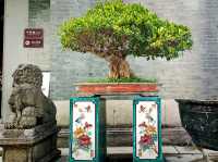 Ip Man Memorial Hall: A Farther of Win Chun & Bruce Li Mentor Story