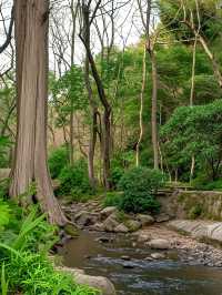西湖唔止得斷橋同靈隱寺！仲有呢啲小眾秘境
