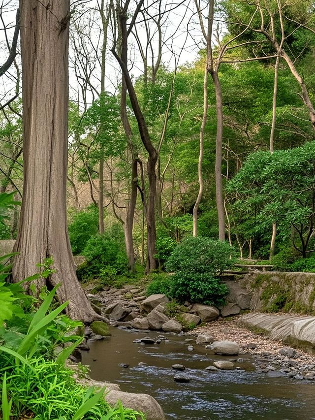 西湖唔止得斷橋同靈隱寺！仲有呢啲小眾秘境