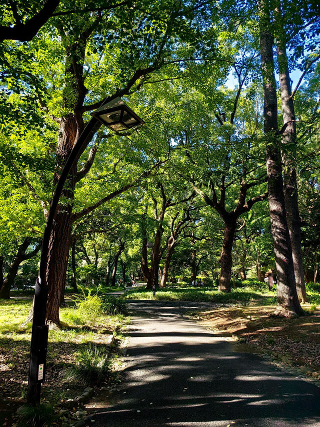 東京慢活散步｜日比谷公園：喧囂城市中靜靜呼吸嘅綠色角落