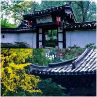 紹興五一遊玩這樣走｜入住景區旁民宿