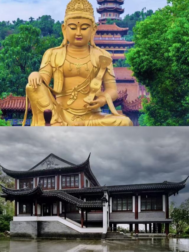 岳陽已回，朋友圈都怎爆了。