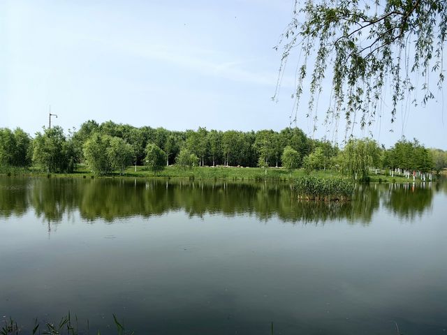 環遊巢湖