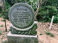 廣東省肇慶市著名森林公園：羚羊峽古棧道森林公園，適合觀光旅遊、度假休閒等！