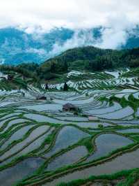五一出行小抄…國家地理推薦的春日漫遊地