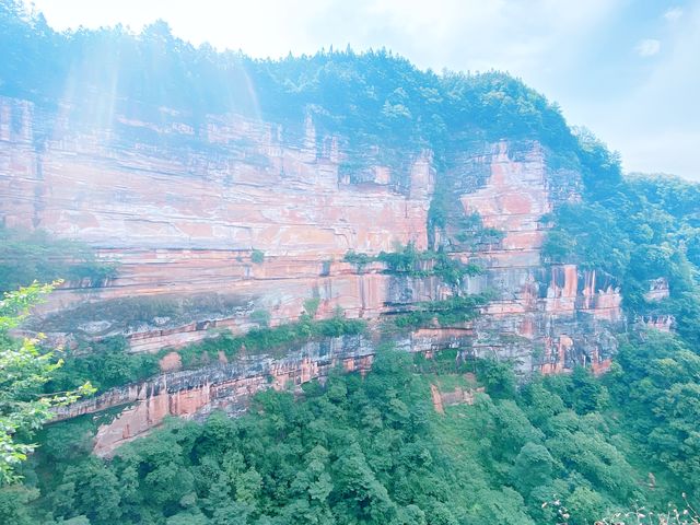 賞花採果之旅，體驗田園樂趣