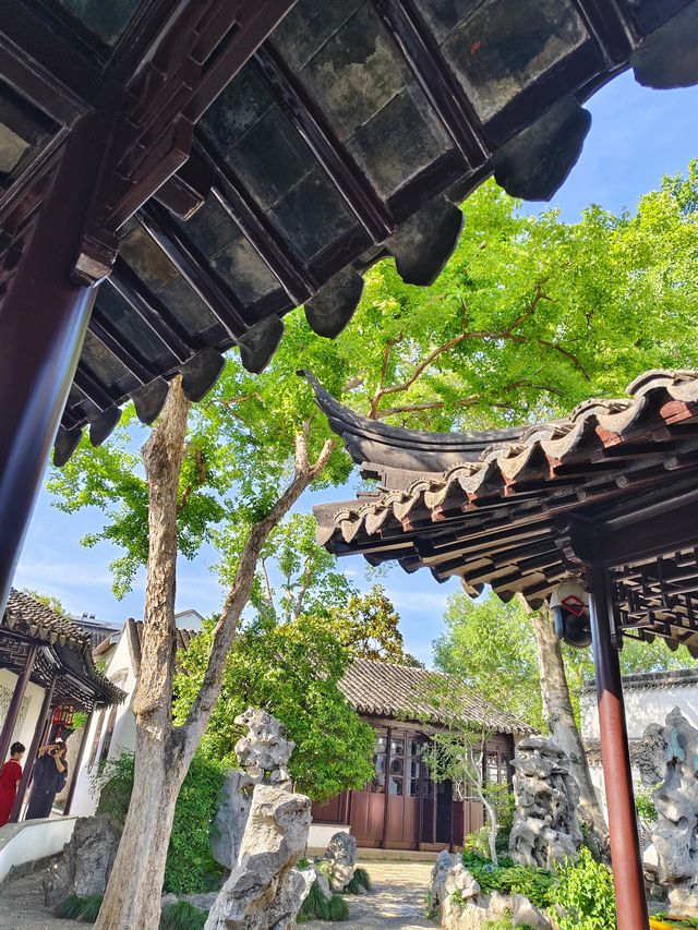 暮春的怡園