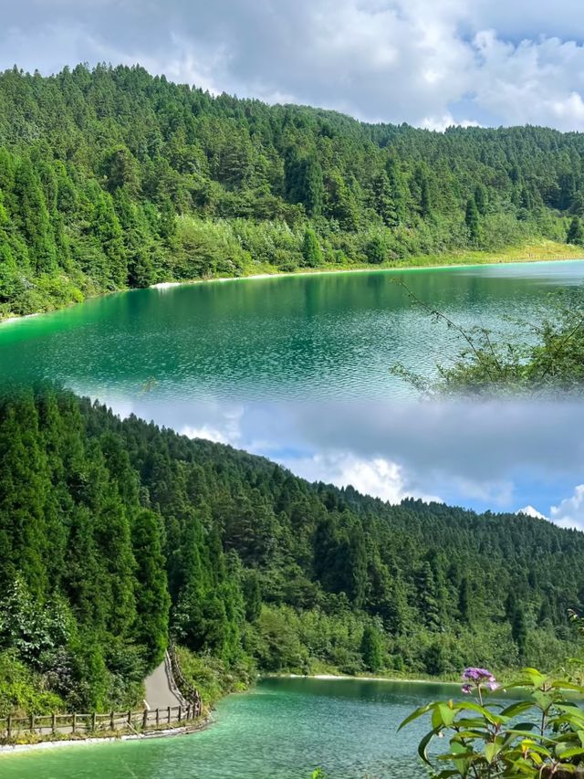 重慶周邊挖到神仙避暑地！23℃嘅森林秘境