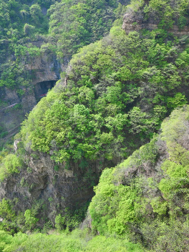 這座"平躺級"神仙山懶人友好100%！