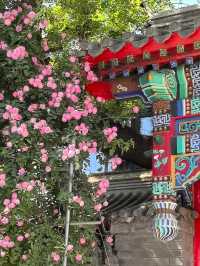 4.28實拍︱壽比胡同嘅玫瑰花上線啦