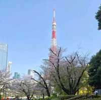 日本旅遊的戒斷反應為何這麼強烈啊？