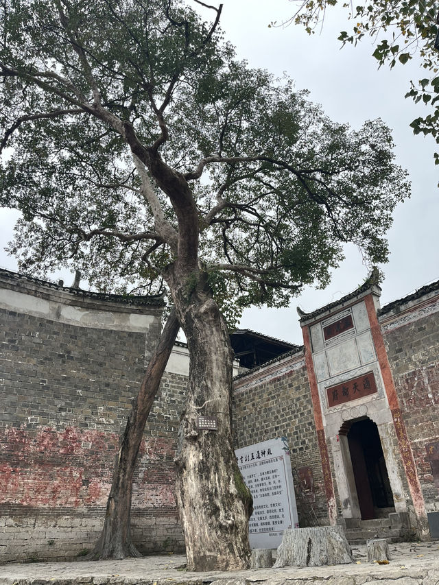 🏮穿越時光！懷化荊坪古村