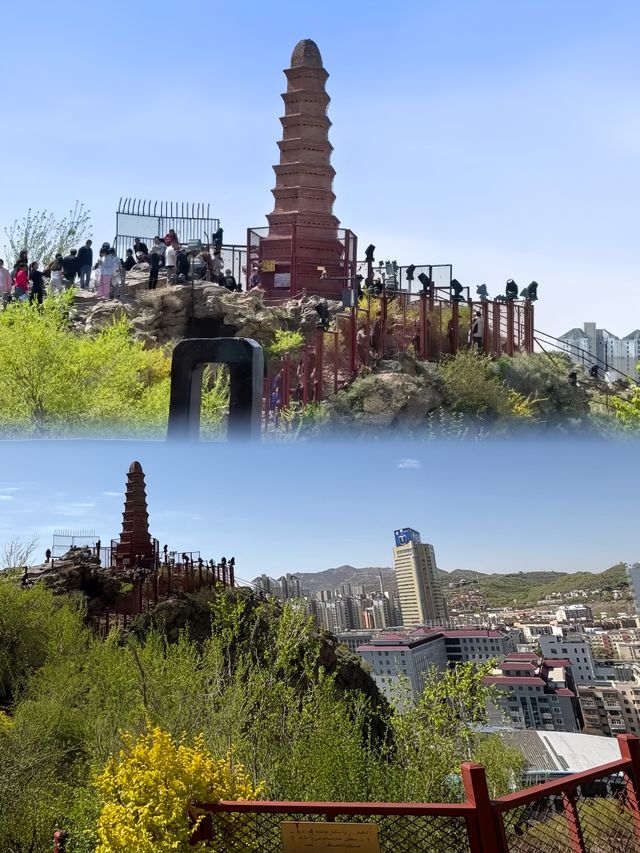 後悔冇早啲去！紅山公園真係太正啦